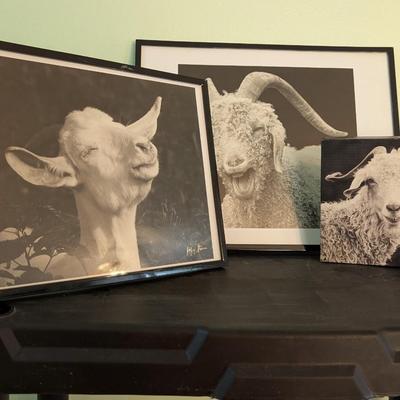 Set of Three Prints Roan Mountain Tennessee - Local Artist Jeffrey Stoner - Fine Art Photography (SB)