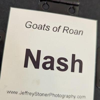 Set of Three Prints Roan Mountain Tennessee - Local Artist Jeffrey Stoner - Fine Art Photography (SB)