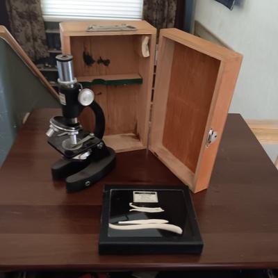 CARNIVORE BACULA AND A STUDENT'S TASCO 600X MICROSCOPE IN WOODEN CASE