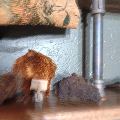 ROCKS FROM A COLLECTION LABELED FLUORITE AND PUMICE