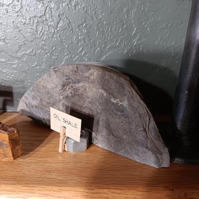 ROCKS FROM A COLLECTION LABELED GALENA, OIL SHALE & PETRIFIED WOOD