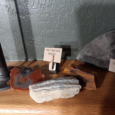 ROCKS FROM A COLLECTION LABELED GALENA, OIL SHALE & PETRIFIED WOOD