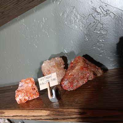 ROCKS FROM A COLLECTION LABELED SATIS FORTIS & POTASH/HALITE ORE