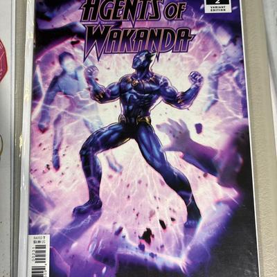 Black Panther, Wakanda, Avengers