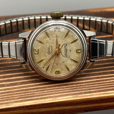 LOT 124: Vintage Watch Collection - Swiss Movt and More (ila, Sarwa, Effem, Merrill