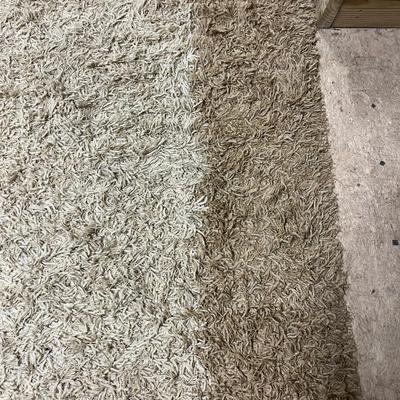 Large Shag Area Rug (BS-MG)