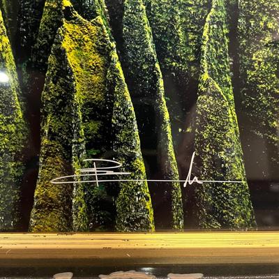Peter Lik Signed & Framed Photograph #2 (BS-MG)