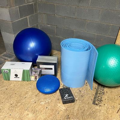 Incline Exercise Ball W/ Base, Wobble Cushion & More (BS-RG)