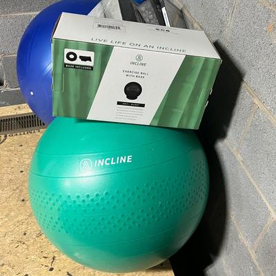 Incline Exercise Ball W/ Base, Wobble Cushion & More (BS-RG)