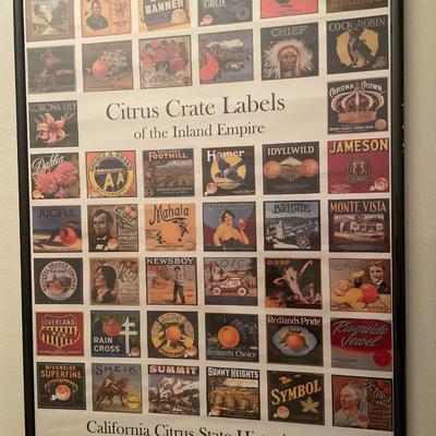 California Citrus framed decor