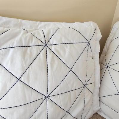 Assortment of Throw Pillows (UGB2-JS)