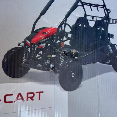 Sale Photo Thumbnail #393: Cart is new and assembled, never had fuel in in ready to go once the seat belts are attached. Complete. Weighs about 270 pounds will need help to load. 