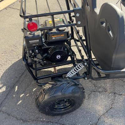 Sale Photo Thumbnail #388: Cart is new and assembled, never had fuel in in ready to go once the seat belts are attached. Complete. Weighs about 270 pounds will need help to load. 