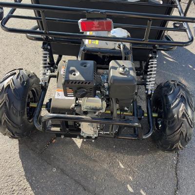 Sale Photo Thumbnail #389: Cart is new and assembled, never had fuel in in ready to go once the seat belts are attached. Complete. Weighs about 270 pounds will need help to load. 
