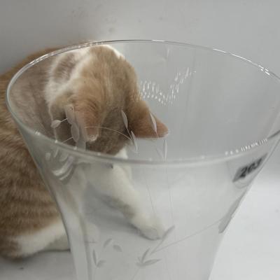 Sale Photo Thumbnail #923: .