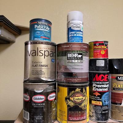 PAINT, PAINT AND MORE PAINT