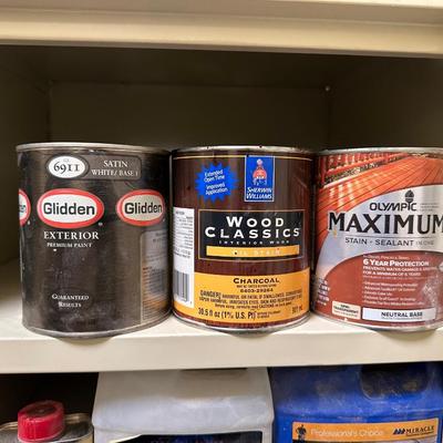 A PAINTER PARADISE