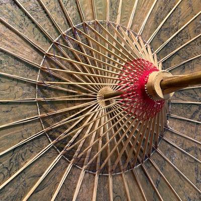 VERY DETAILED ILLUSTRATIONS ON WAX RICE PAPER PARASOL