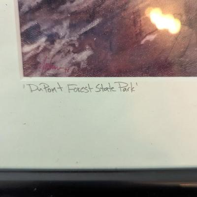 Framed "Dupont Forest State Park" Print Signed By The Artist (SB)