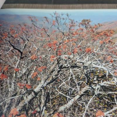"Netherlands & Belgium March 25 - April 5, 2018" & Outdoor Photo Books (SB)