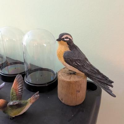Birds With Plastic Dome (SB)