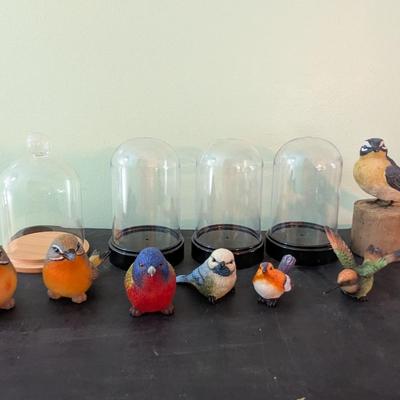 Birds With Plastic Dome (SB)