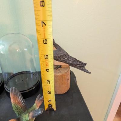 Birds With Plastic Dome (SB)