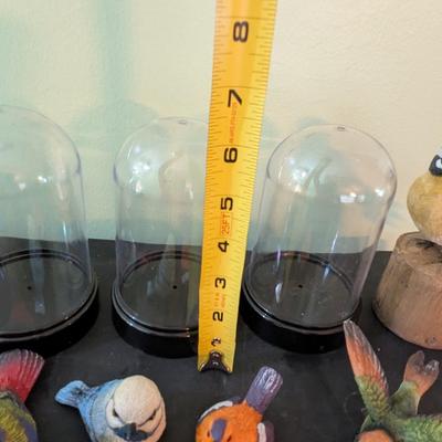 Birds With Plastic Dome (SB)