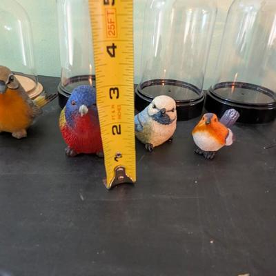 Birds With Plastic Dome (SB)