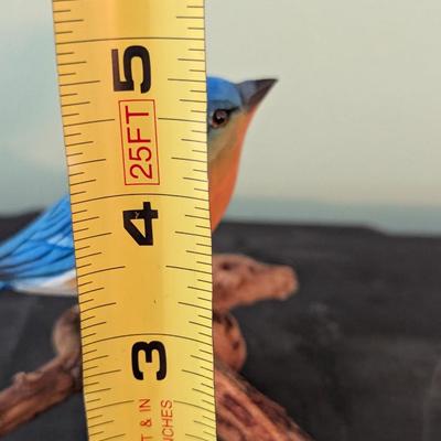 Signed Tony Dill Asheville NC Wood Carved Male Blue Bird (HW)