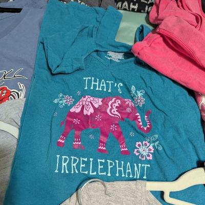 Selection Of Used Graphic T-Shirts (PB)