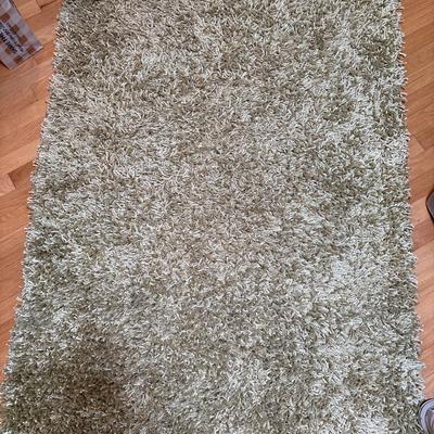 Green shag area rug. (41x67)