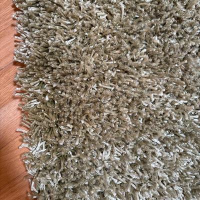 Green shag area rug. (41x67)