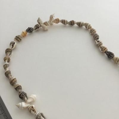 Beautiful shell fashion necklace