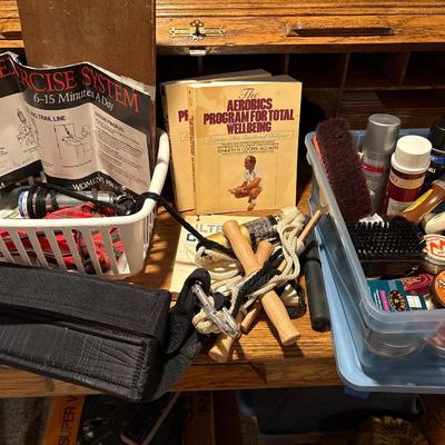 Aerobic exercise gear, and shoe shine