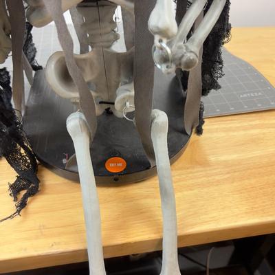 Skeleton in a Cage