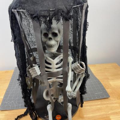 Skeleton in a Cage