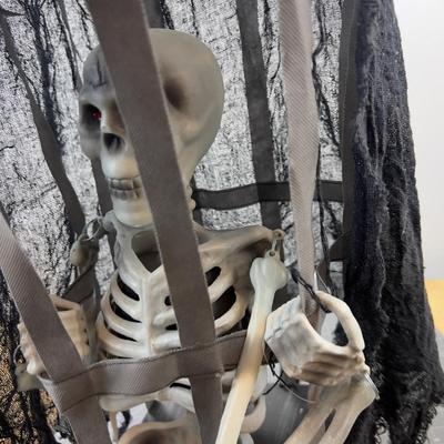 Skeleton in a Cage