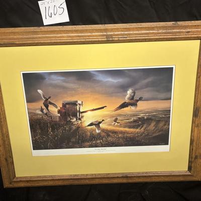 Evening Surprise Print