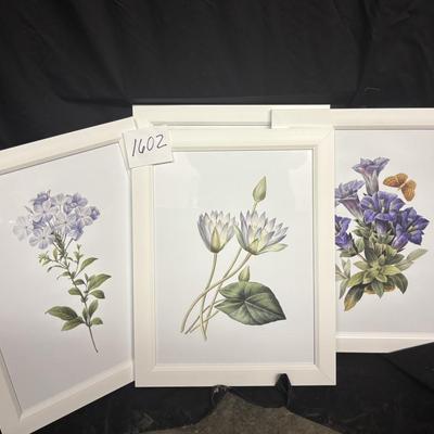 Flower Prints