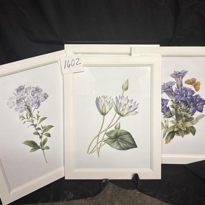 Flower Prints