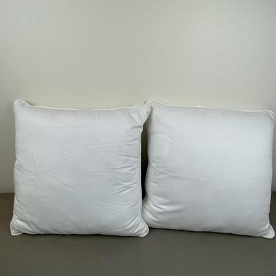 Set of 2 Decorative Throw Pillows