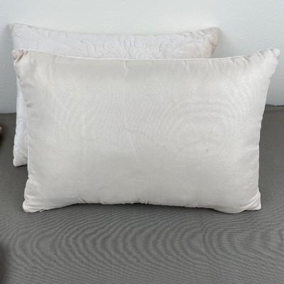 2 Small Accent Pillows