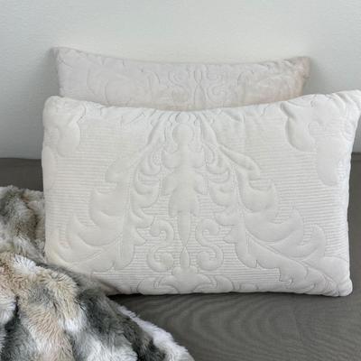 2 Small Accent Pillows