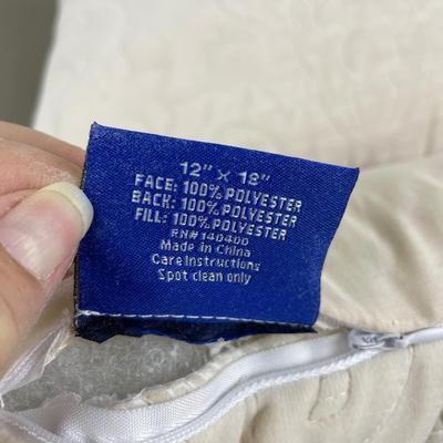 2 Small Accent Pillows