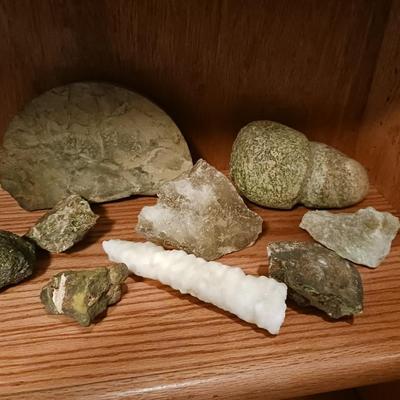 MANY DIFFERENT ROCKS OF ALL SHAPES AND SIZES