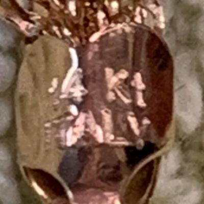 14k Multi Strand Yellow Gold 18” Necklace 6.2 grams