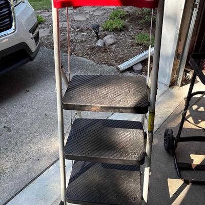 Stepladder & yard Cart
