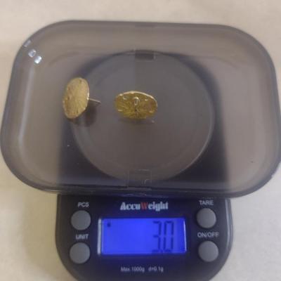 14 Karat Yellow Gold Sand Dollar Design Post Earrings- Approx Total Weight 3.0 Grams (#36)
