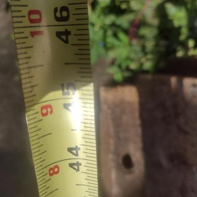 Antique Coleman of Charlotte, NC Horse Drawn Fertilizer Spreader Choice B